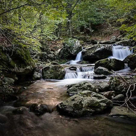 Des Alberes Laroque-des-Albères